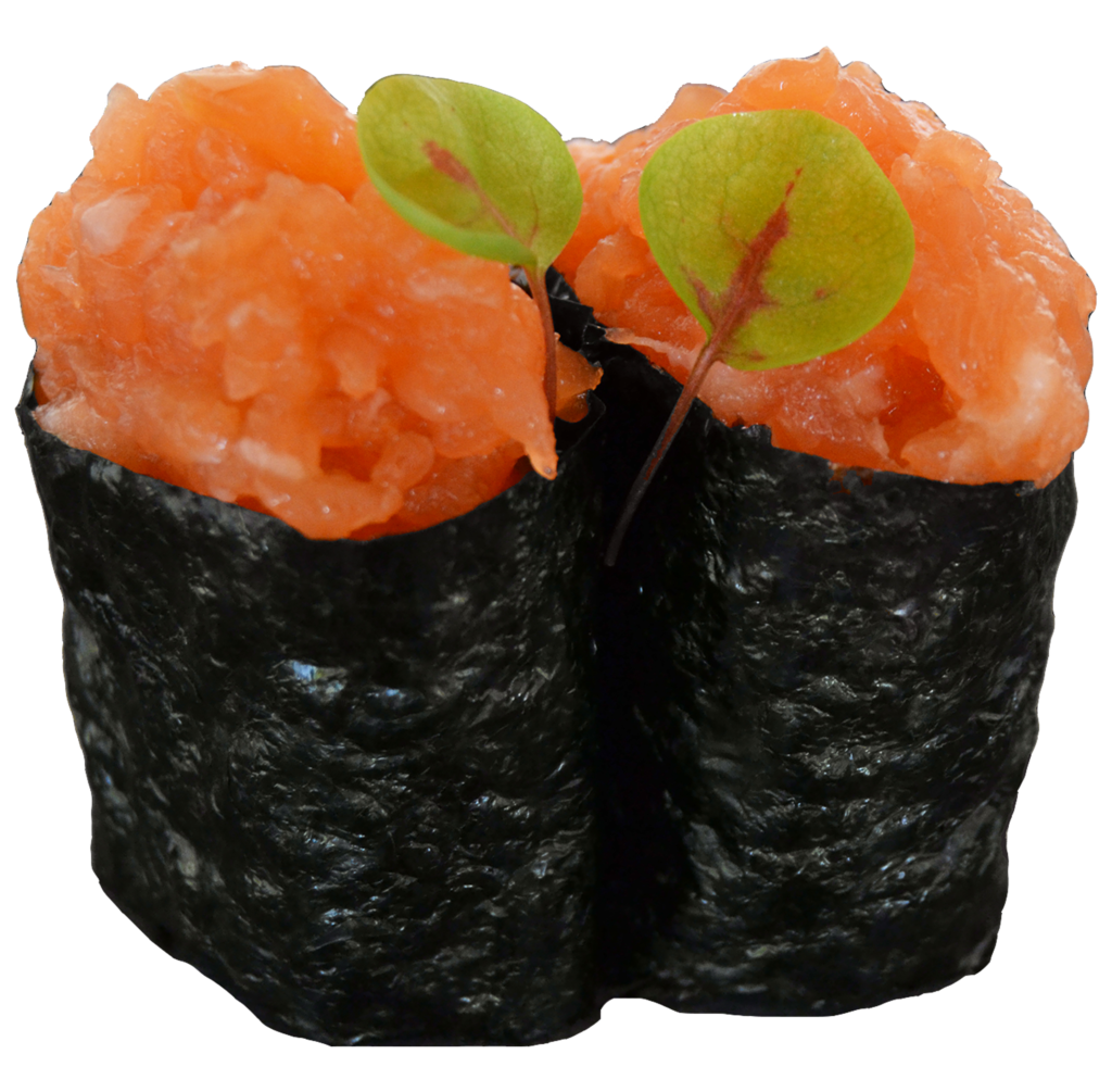 15. Gunkan Salmone - Sushimi